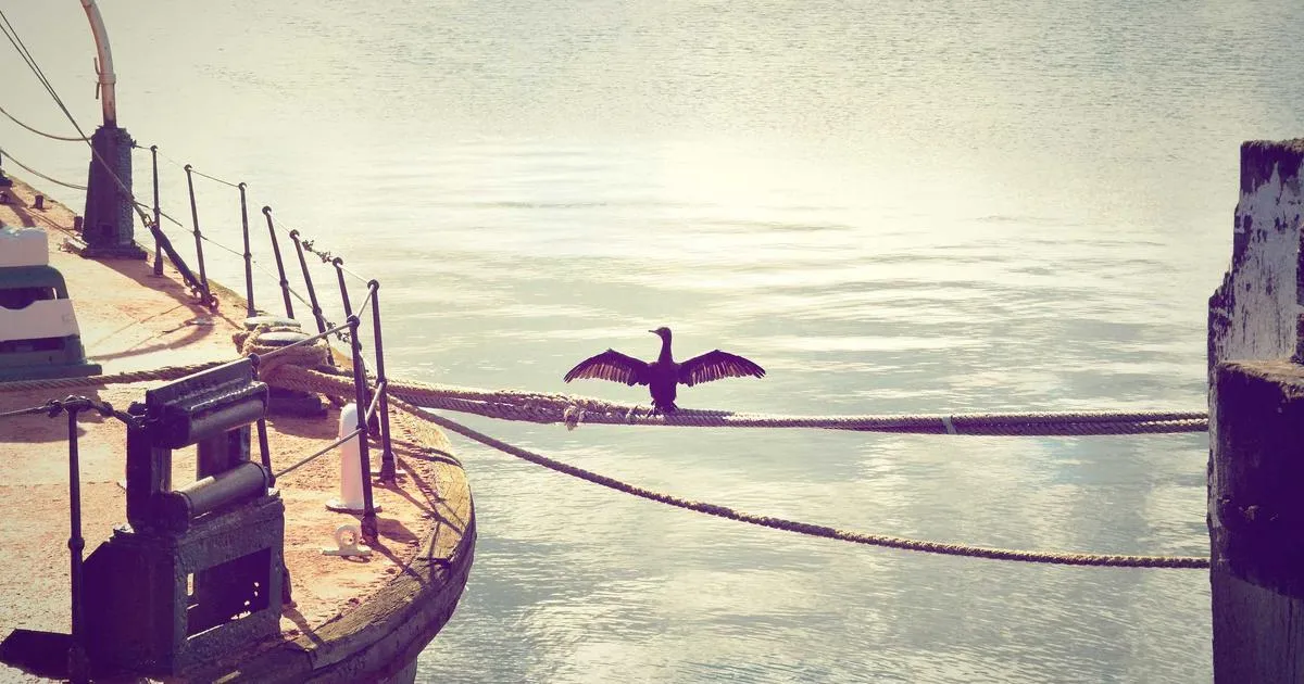 Winnie's Hole : quand la blague devient un bon jeux vidéo